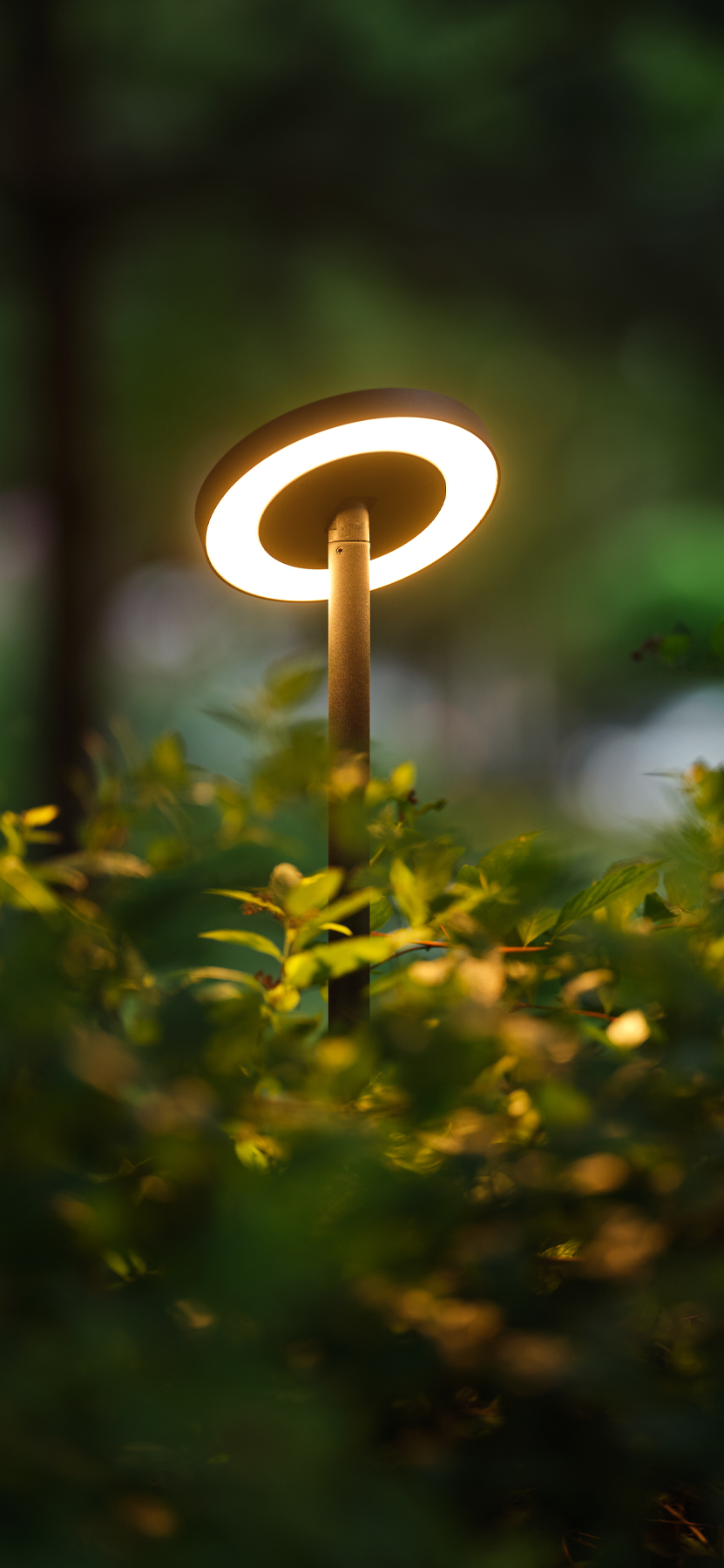 Светодиодное освещение ЦЕНТРСВЕТ