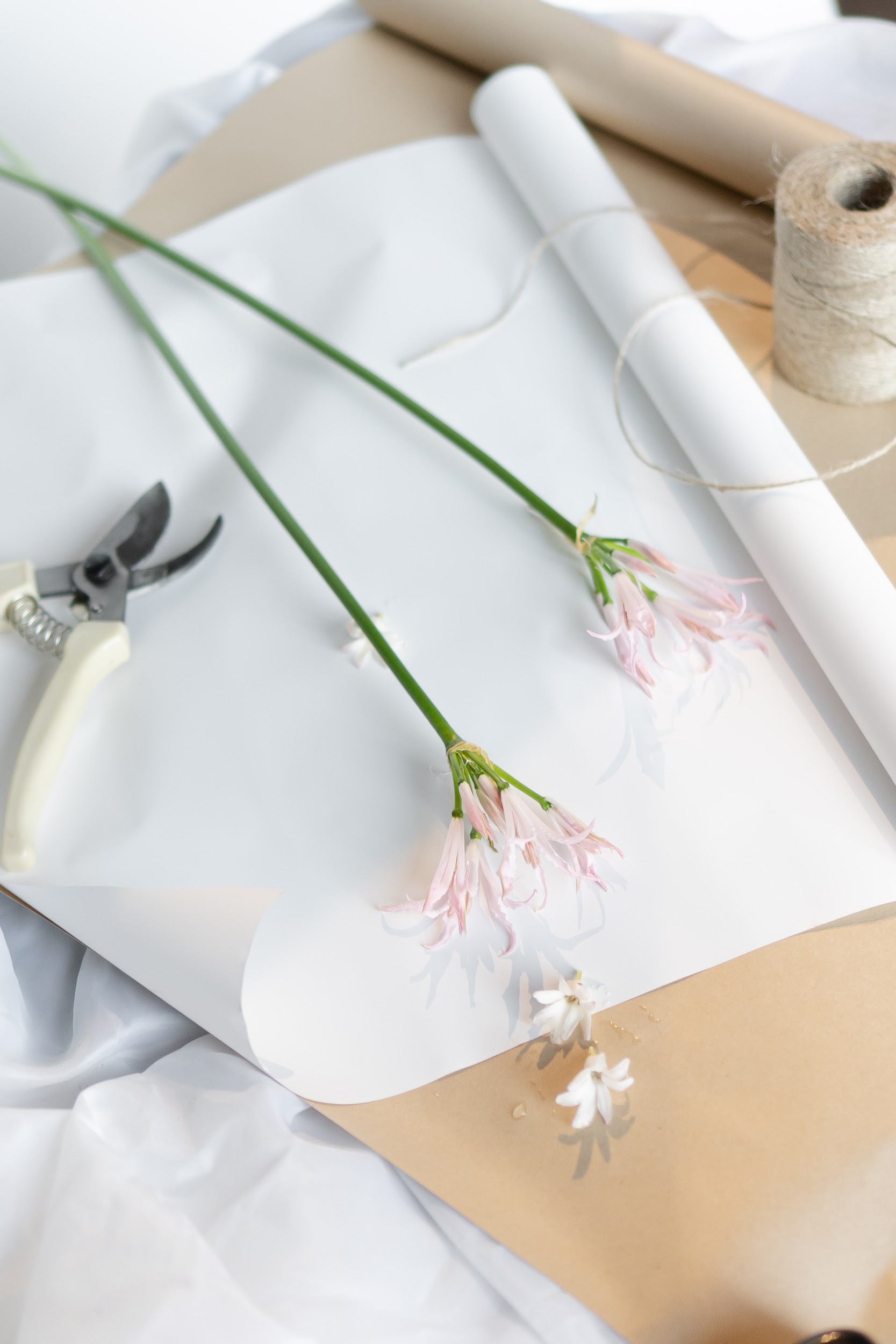 Флористика Tsvetnaya