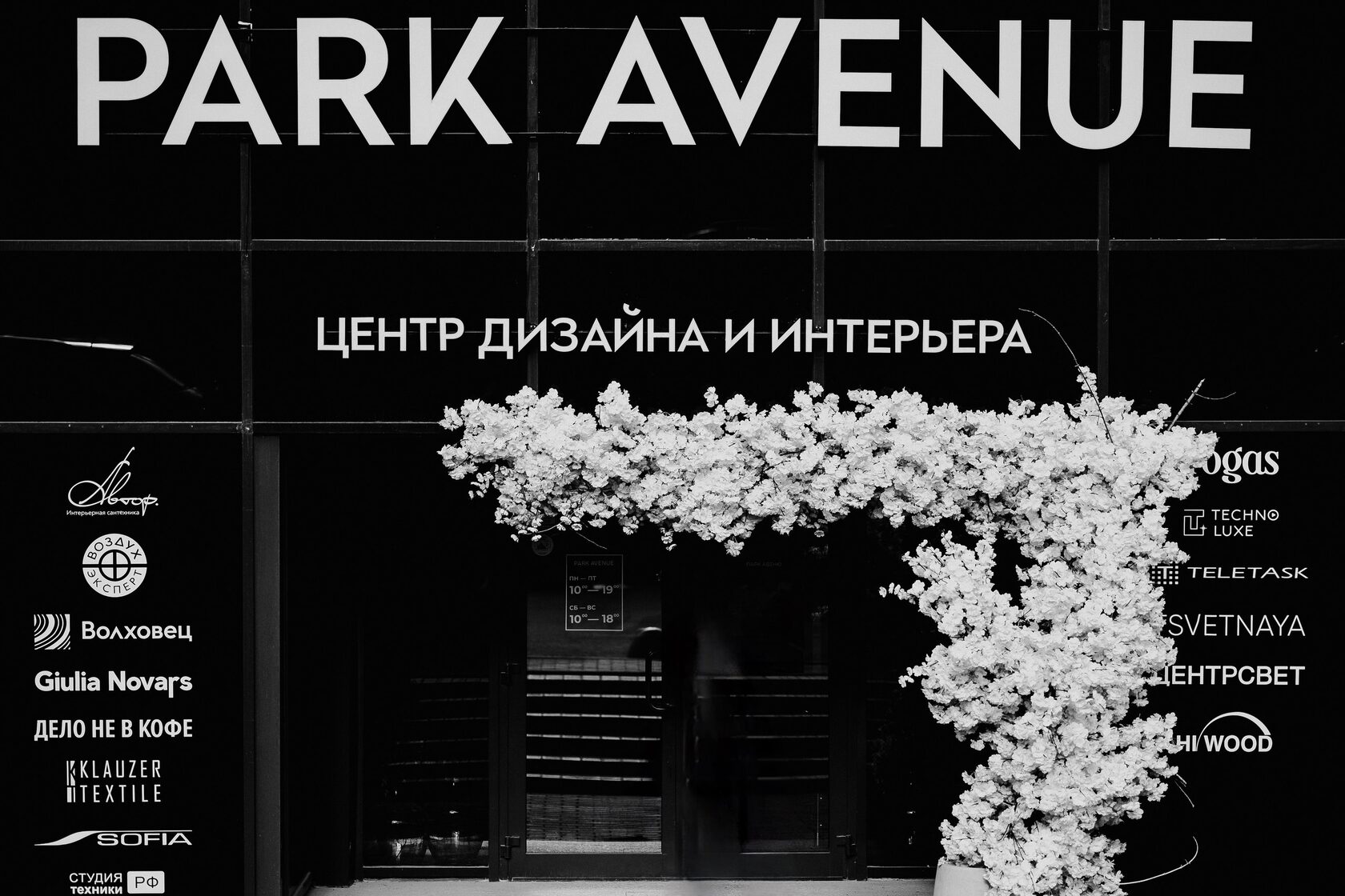 РЕЗУЛЬТАТЫ ПРОГРАММЫ ЛОЯЛЬНОСТИ «ПАРК АВЕНЮ 2024» ЗА ПЕРВОЕ ПОЛУГОДИЕ